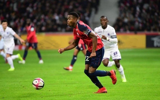 和悬念的欧 和悬念的欧